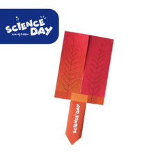 [사이언스데이] 단풍씨앗 헬리콥터(3학년1학기 식물의생활), 5인 세트