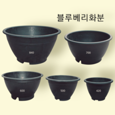 화분 원형 고무다라 고강도 물빠짐밑면타공 블루베리 조경수 식재 대야 작물재배 비료만들기, 1개, 고무다라 원형화분 (블루베리) 420ΦXH290