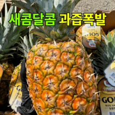 [입안 가득 달콤한] 달달스윗 고당도 파인애플 DOLE 스위티오 골드 프리미엄, 3개