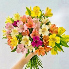 아르띠콜로 주말배송 신선보냉포장 작약 리시안셔스 해바라기 소국, 믹스컬러 07 알스트로메리아8송이색상믹스, 1개