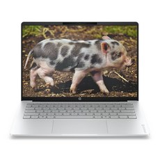 HP 2026 옴니북 5 16 라이젠 AI 라이젠 AI 400 시리즈, Glacier silver aluminum, 16-bp0009AU, 512GB, 16GB, WIN11 Home