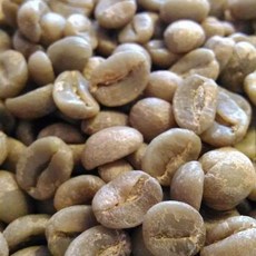 厄瓜多 象牙森林產區 洛哈省 普揚咖啡豆, 1個, 生豆,500g