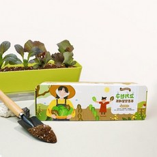 상추키우기 식물재배기 텃밭 세트 씨앗 화분 재배기 미니 베란다 홈, 상세페이지 참조