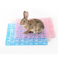 보호 소동물 발 매트 플라스틱 소동물 매트 기니피그 케이지 깔개, 블루 5p