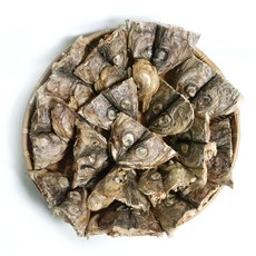 쪼갠황태머리 500g 황태 북어 황태머리 북어머리 깊고 진한 국물 쪽빛누리, 1개