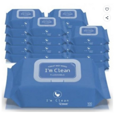 아임클린 저자극 대용량 비데물티슈 캡형, 60g, 100매, 20개