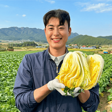해남 절임배추 10kg / 20kg 절인배추 김장 해가온, 1박스, 도착일 필수 입력