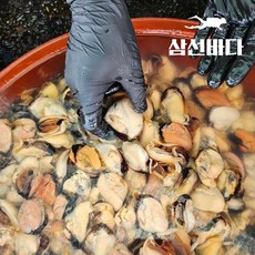 자연산 홍합 1 kg 2 kg 해녀채취 거제도 자연산 깐홍합살 홍합탕 제수용, 1개, (냉동) 자연산 깐 홍합살 500g