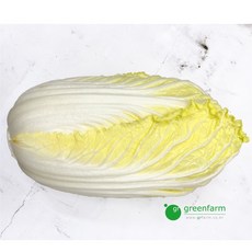 알배기 배추 1통, 1개, 600g
