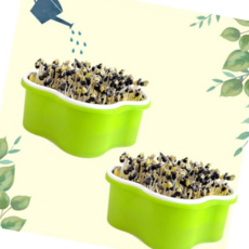 쏘잇 콩나물 키우기 기르기 키트-관찰일지 포함, 본상품