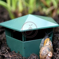 팥들 달팽이 집 달팽이기르기