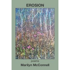 (영문도서) Erosion Paperback, Kelsay Books, English, 9781639806041