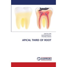 (英文圖書)Apical Third of Root 平裝版, LAP Lambert Academic Publis..., 英文
