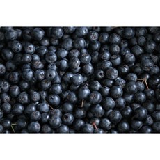 아로니아 생과, 1개, 1kg
