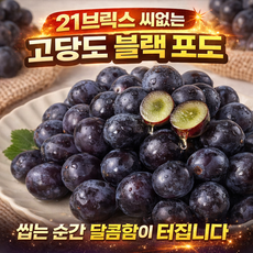 [로다제철과일] 블랙포도 세이블 20브릭스 고당도 씨없는포도, 1개, 2kg