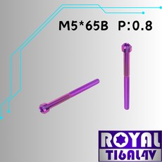 ROYAL 鈦合金螺絲 M5*65B P:0.8 錐形螺絲 皇家紫, 1個
