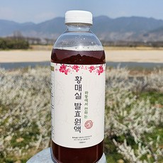 3년숙성 황매실청, 1개, 1L