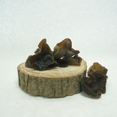 국내산 목이버섯 생물 건물 800g 몸에좋은버섯, 1개, 생물800g