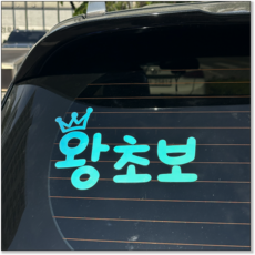 레아데코 초보운전 왕초보 야광 대형 반사 스티커, 1개, 왕초보 L