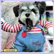 限時下殺 挑戰最低價 網紅搞怪抖音萬聖節拿刀緻命娃娃狗狗變身裝貓咪寵物衣服小中型犬, 1個, 警長變身裝-【現貨速髮】,M碼-（大約5-10斤內）*