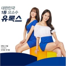 롯데정밀화학 유록스 요소수 엔진수명연장 10리터 차량용 중장비용