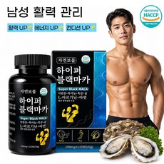 블랙마카 남성 피로회복 영양제 아르기닌 아연 흑마늘 원기회복 대용량 HACCP 인증, 2개, 120정