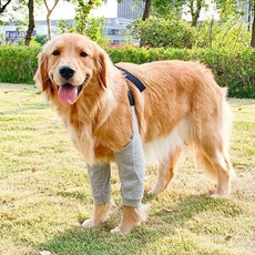 狗狗前腿保護套 護肘護膝 加厚犬用腿套, 1個, 鼕季加絨 灰色卡扣護肘服,L 建議體重20-35斤