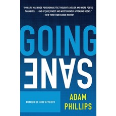 (영문도서) Going Sane Paperback, Harper Perennial, English, 9780007155361