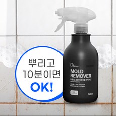 더홈샵 초강력 곰팡이제거제 벽지 욕실 베란다 벽지 배수구, 1개, 540ml