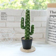 거실 인테리어 대형 인조 선인장 조화 화분 실내 장식 생화같은 플랜테리어, 1개, JH2401 선인장 중형