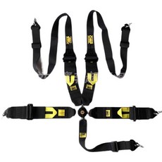 레이싱 안전벨트 카트 스트랩 경주용 시트 벨트 장착 하네스, 5점식 블랙 FHR