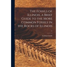(영문도서) The Fossils of Illinois a Brief Guide to the More Common Fossils in the Rocks of Illinois; 11 Paperback, Hassell Street Press, English, 9781014730626