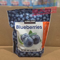 커클랜드 시그니춰 썬스위트 블루베리, 567g, 1개