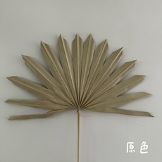 “Be a florist 花藝夢” 進口乾燥蒲葵葉 *買五送一* 扇形.圓形.尖形 乾燥花材 不凋花 永生花, 扇形-原色