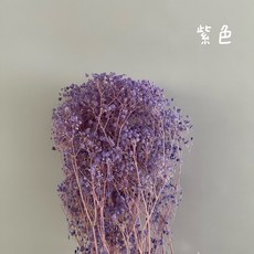 花藝夢 不凋夢幻星 5克販售 不凋花 永生花 乾燥花材, 紫色