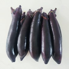 국내산 가지 최상품, 1개, 1kg
