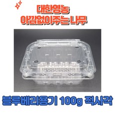 블루베리 용기 100g 직사각 대한영농, 1개, 1개