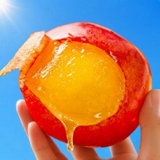 [가성비핫딜] 만족도1위 산지직송 제철 국내산자두, 1박스, 1kg