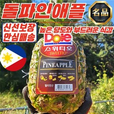 (이지몰) 파인애플 고당도 새콤달콤 1.2-1.4kg내외, 1수, 1박스, Dole스위티오파인애플1수/1.2-1.4kg내외