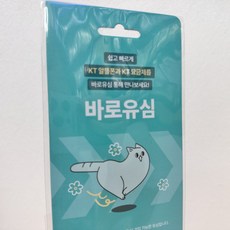 KT 바로 유심
