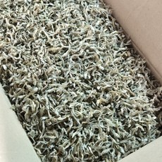 오늘의바다 국산 햇 실속형 지가이리멸치 1.5kg 볶음멸치 식자재 (당해 생산), 1개