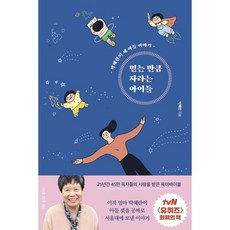 믿는만큼 자라는 아이들 : 박혜란의 세 아들 이야기, 나무를심는사람들