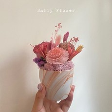 Sally Flower 康乃馨擴香盆花, 1個