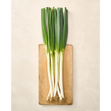 대파 흙대파 국내산 한단 1단 1kg 전국식탁