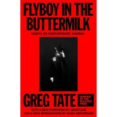 (영문도서)Flyboy in the Buttermilk: Essays on Contemporary America Paperback, Auwa, English, 9780374394622