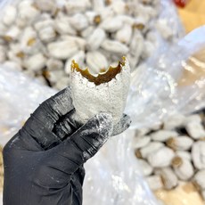 100%자연건조 설리당 고종시 곶감, 10개, (진공포장) 개당37g내외