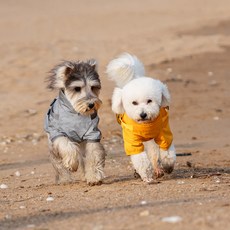 寵物雨衣 狗雨衣 中小型犬反光雨衣 寵物衣服 狗狗衣服 寵物防水衝鋒衣 寵物服飾, 1個, 橙黃,M