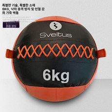 메디슨볼 크로스핏 중량 2kg 볼 웨이트 월볼 메디신 웨이트볼
