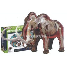 香港 Fame Master 4D VISION MAF-26110 透視長毛象模型, 1個