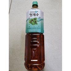 CJ헬스케어 헛개수, 1.5L, 2개